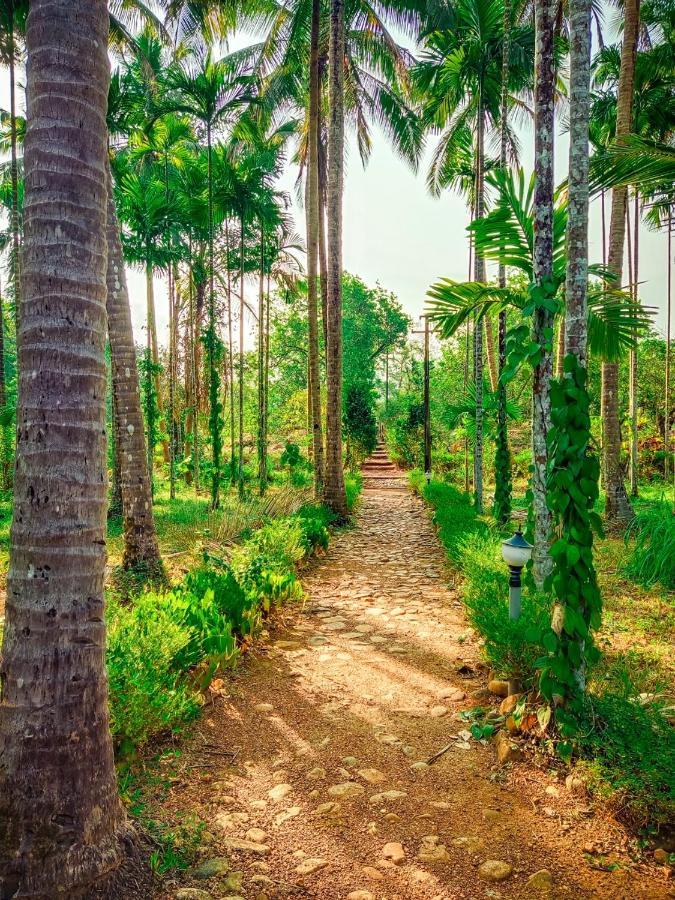 Nature'S Nest Eco Resort Goa, Near Dudhsagar Waterfalls Molem المظهر الخارجي الصورة