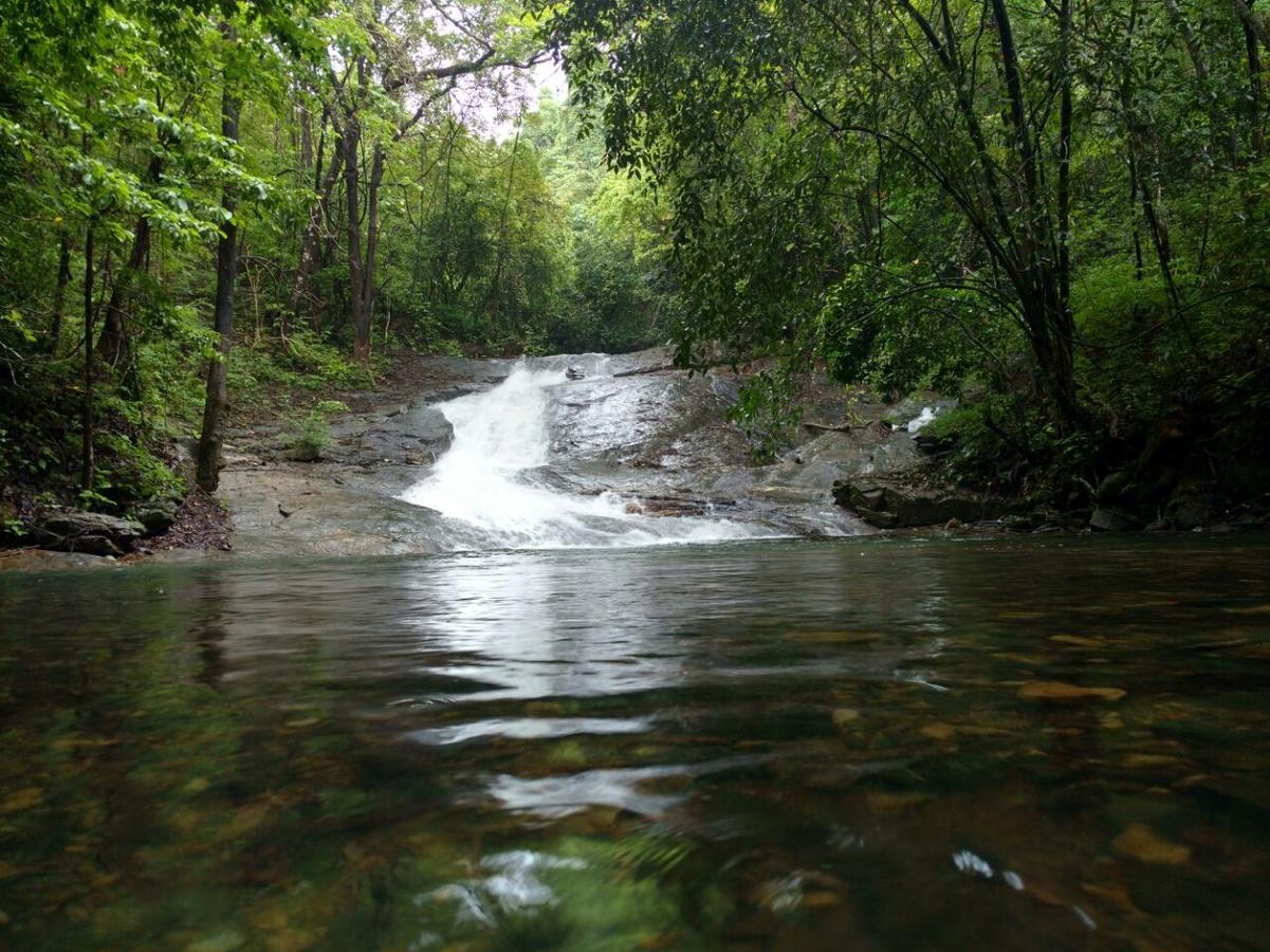 Nature'S Nest Eco Resort Goa, Near Dudhsagar Waterfalls Molem المظهر الخارجي الصورة